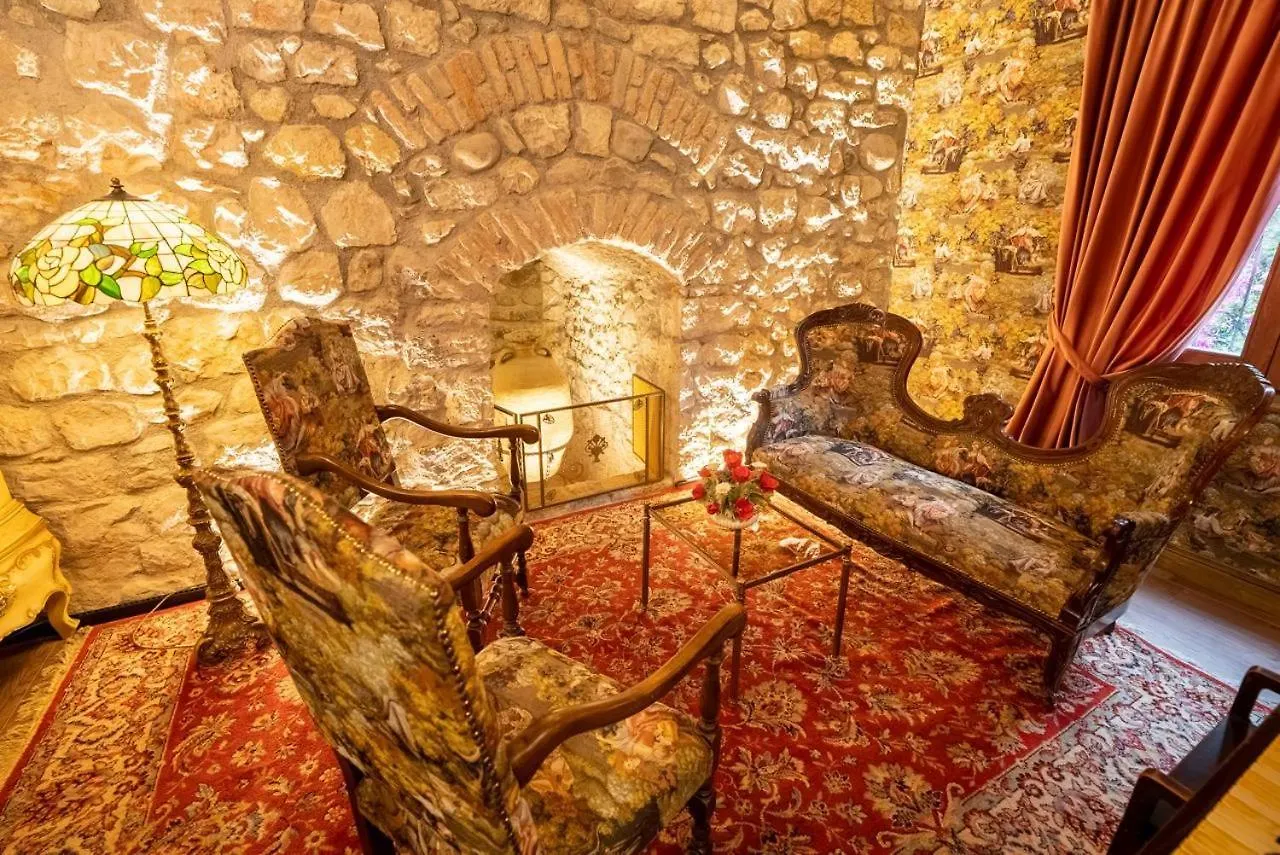 Castle Boutique Hotel 地拉那 0*,